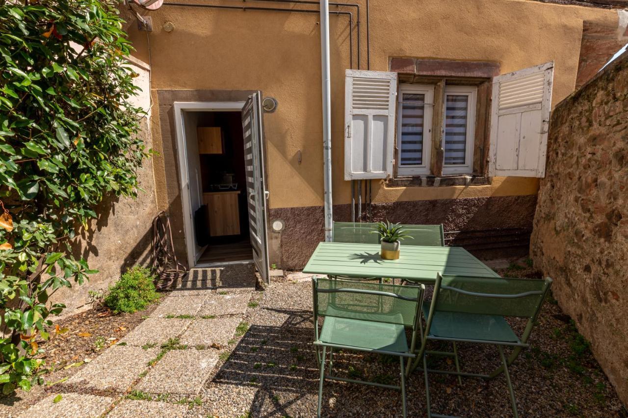 Appartement Cosy Avec Jardin Au Centre Historique De Selestat & Proche Europa-Park Экстерьер фото