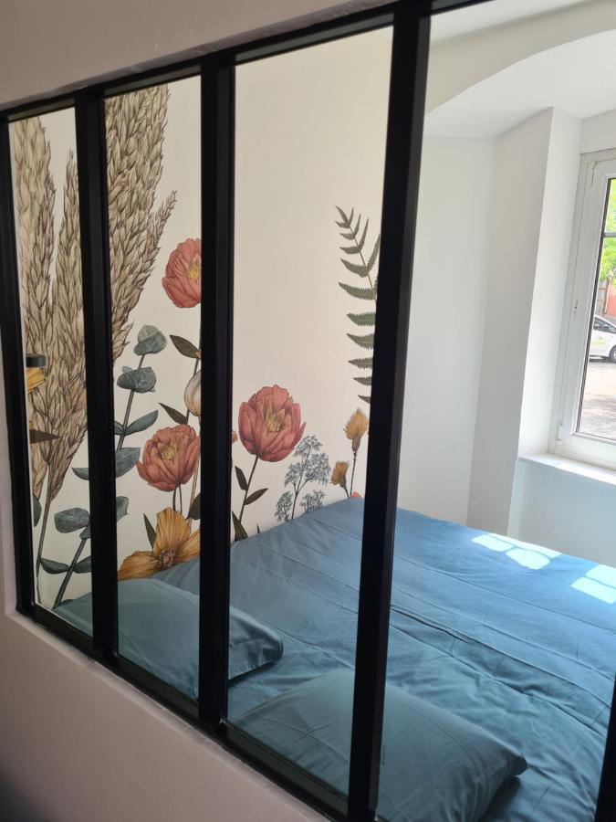 Appartement Cosy Avec Jardin Au Centre Historique De Selestat & Proche Europa-Park Экстерьер фото